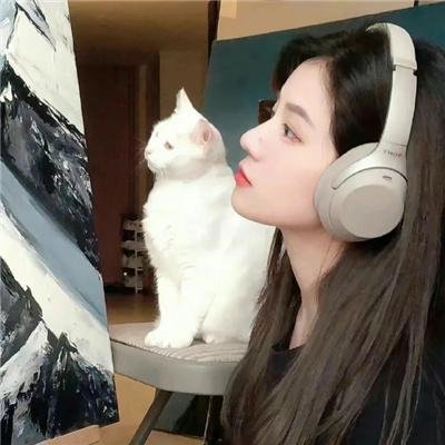 动物也疯狂