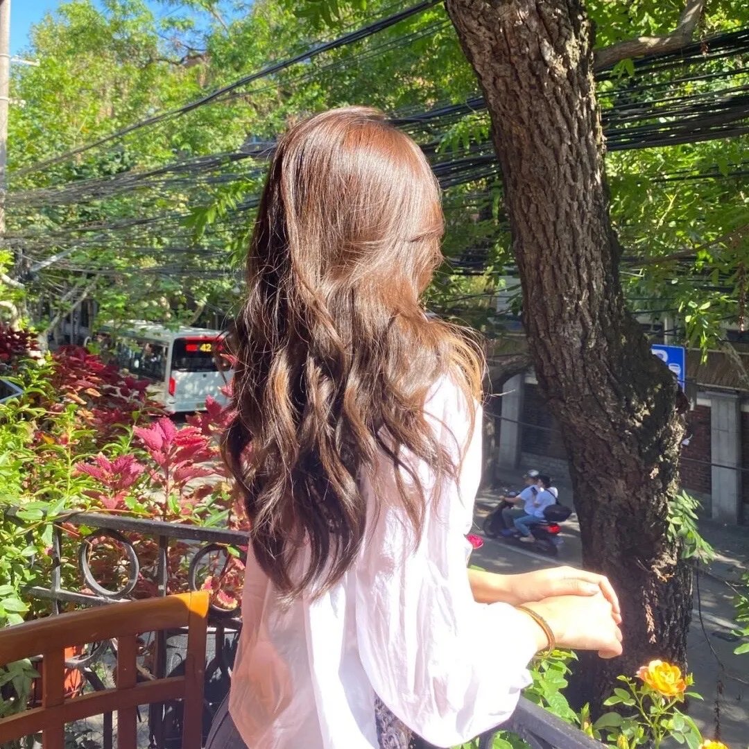 校花我爱你